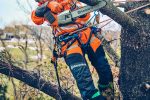 Husqvarna T542i XP® G Profi Akku-Kettensäge Mit Griffheizung