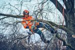 Husqvarna T542i XP® G Profi Akku-Kettensäge Mit Griffheizung