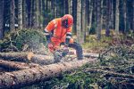 Husqvarna 560 XP® Mark II Professionelle Motorsäge 60cm³